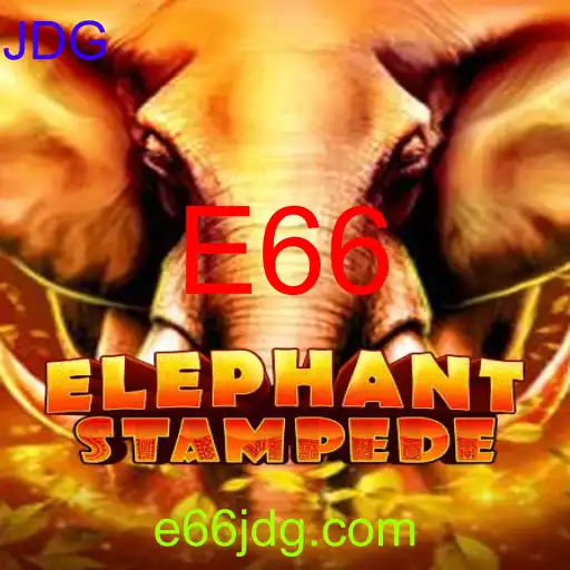 ElephantStampede
